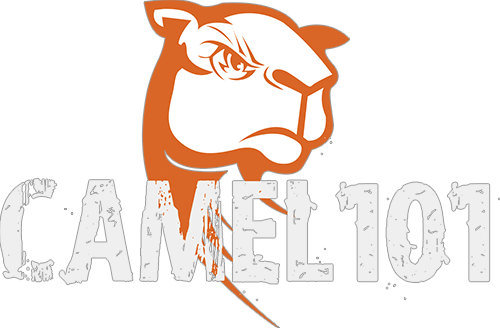 Camel 101